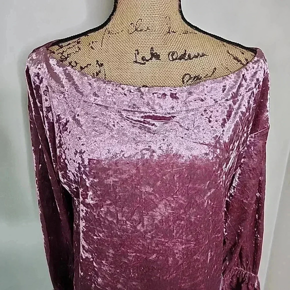 Lumiere Pink Crushed Velvet long sleeve blouse. Nwt- size small - Picture 5 of 6